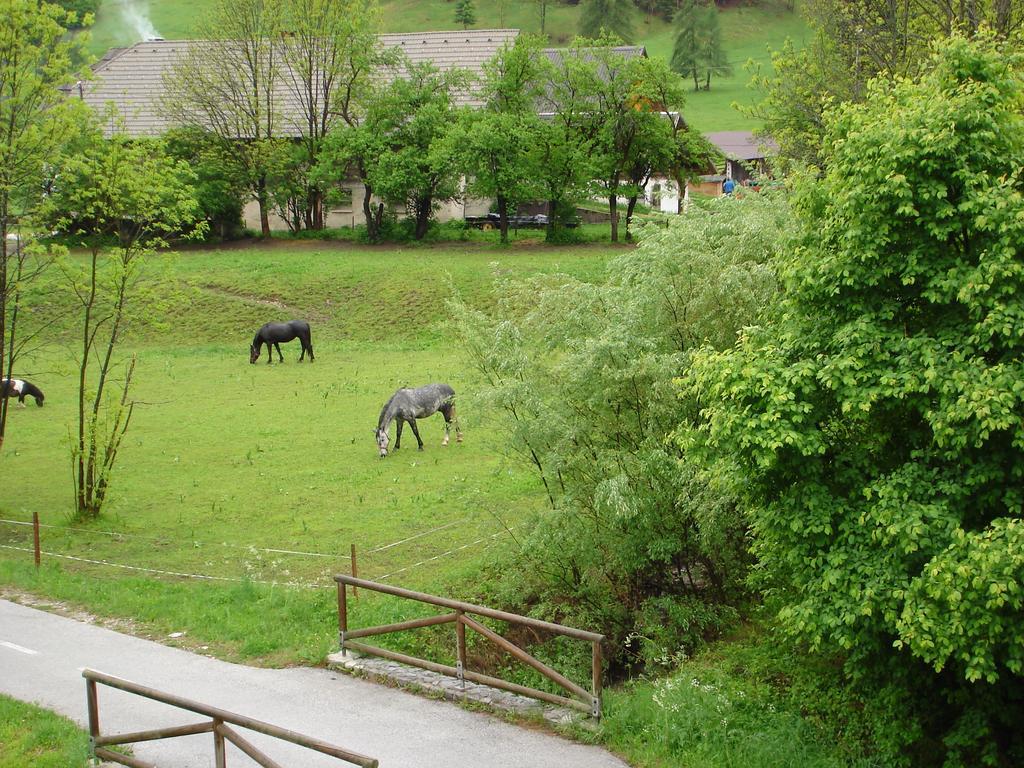 Alpine Spot Apartman Kranjska Gora Kültér fotó